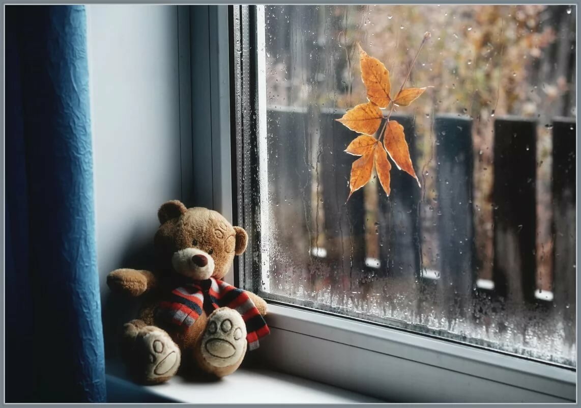 Стучит подоконник. Дождь за окном. Осень за окном. Осень дождь за окном. Осенний подоконник.